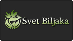 Svet Biljaka