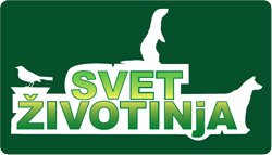 Svet Zivotinja